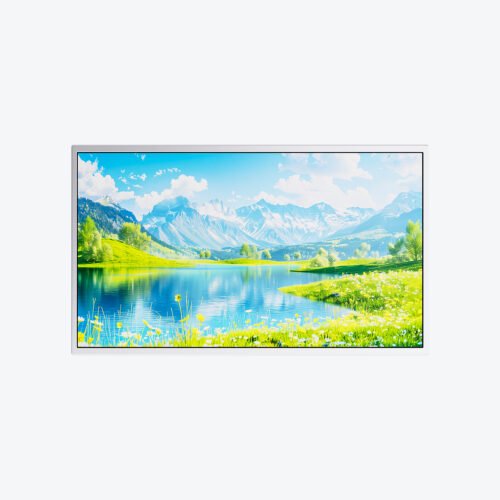 BOE HR215WU1-120 | 21.5 Inch FHD 1920×1080 ADS TFT-LCD Module | 300–700 Nits High Brightness