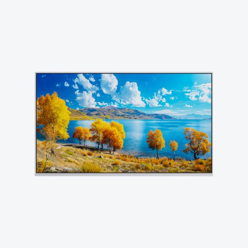 BOE DV430FHB-N10 43 inch FHD 1920×1080 TFT-LCD Open Cell Panel for Digital Signage